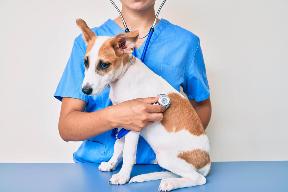 Preventative Care in Florence